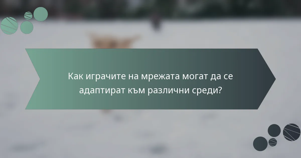 Как играчите на мрежата могат да се адаптират към различни среди?