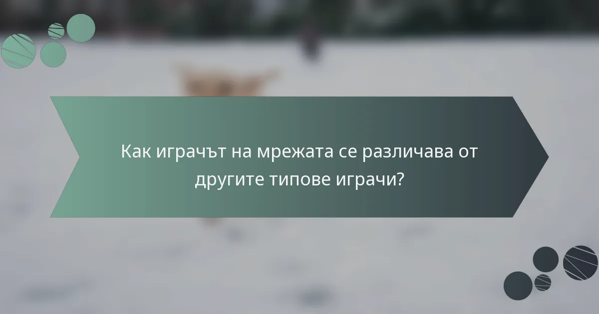 Как играчът на мрежата се различава от другите типове играчи?