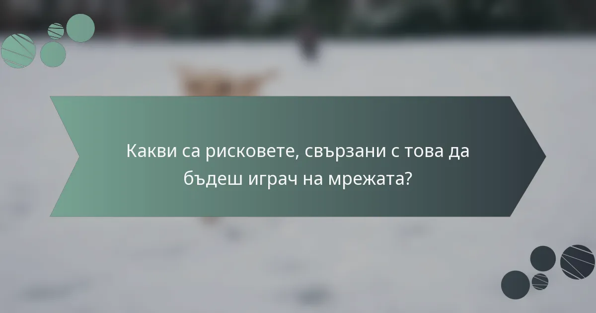 Какви са рисковете, свързани с това да бъдеш играч на мрежата?