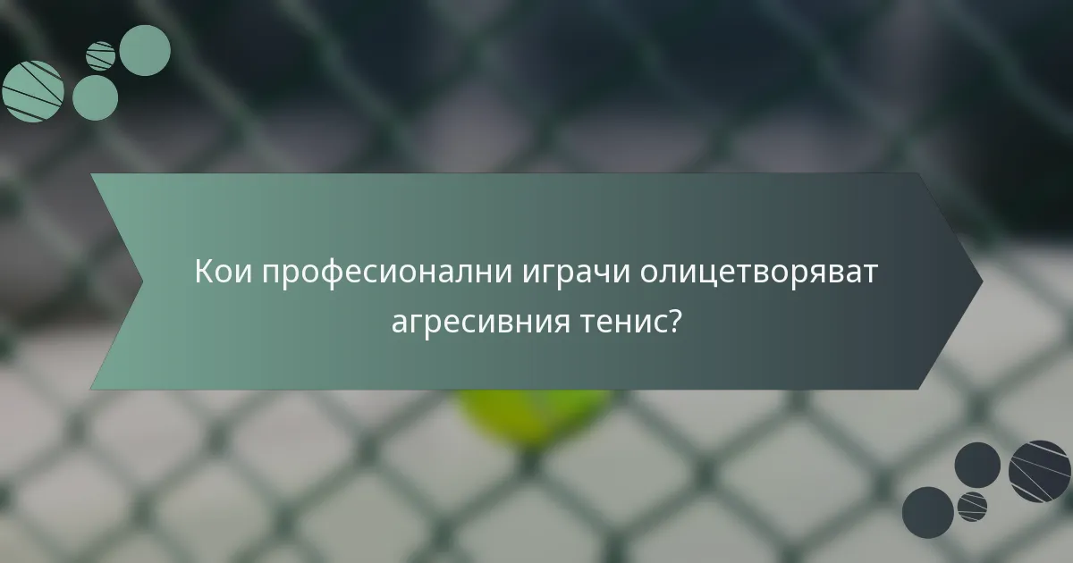 Кои професионални играчи олицетворяват агресивния тенис?
